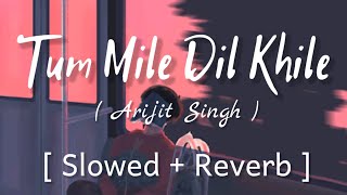 Tum Mile Dil Khile   Slowed  Reverb    Arijit Singh [upl. by Nosaes635]