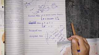 Somatosensory cortex part 2 guyton 48 function of somatosensory areas [upl. by Anialam638]