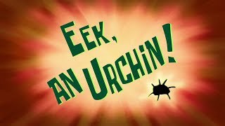 SpongeBob Voice Acting 369 Eek An Urchin [upl. by Rudolph]