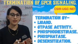 Termination of GPCR Signaling Pathway  Termination by Ligand GTPase Phosphatase Desensitization [upl. by Rooke]