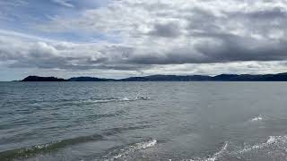 First Swim in 2023  Petone Beach [upl. by Royo]