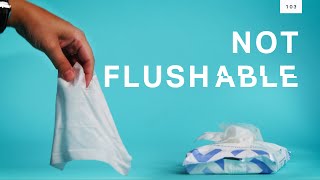 “Flushable” wipes are ruining sewage plants [upl. by Camilia]