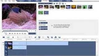 Ulead VideoStudio  Overlays Basics Tutorials [upl. by Ereveneug566]