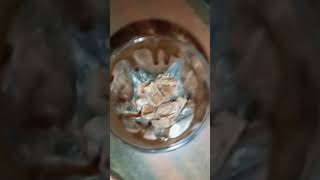 Chocolate Falooda 🍫🍫🍨🍨😋😋food chocolate falooda viral trending [upl. by Anitnahs]