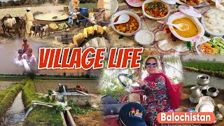 Gaon ki life kese Hoti hai  My Village Tour  Sanobar Choti Village Life Vlogs  Balochistan [upl. by Stout597]