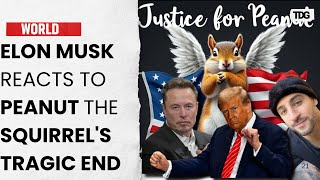 Elon Musk Furious After ‘Peanut the Squirrel’ Euthanized for Rabies Testing [upl. by Capone]