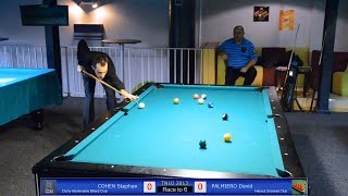 Stephan COHEN vs David PALMIERO  TN10 Tournoi National Billard 2013  Jeu de la 10 à Toulouse [upl. by Wainwright]