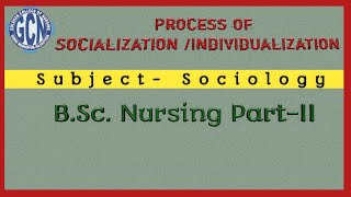 Process of Socialization Individualization [upl. by Aurlie]