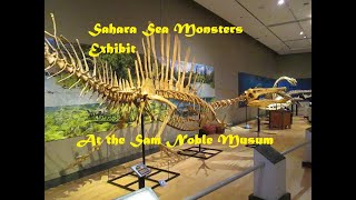 Museum Exhibit Sahara Sea Monsters [upl. by Aitercul]