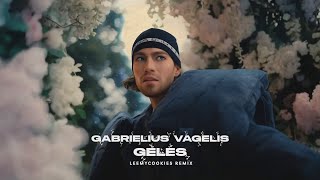 Gabrielius Vagelis  Gėlės LeeMyCookies Club Mix [upl. by Anetsirk729]