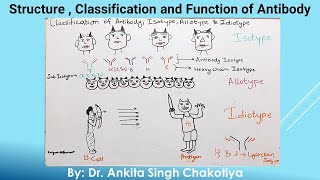 Classification of Antibody Isotype Allotype and Idiotype [upl. by Karlens]