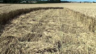 Crop Circle at Hackpen Hill 2682012 [upl. by Keyte]