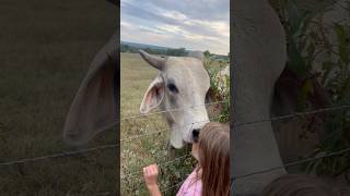 Doc came to visit GrownsFamilyFarm [upl. by Fornof]