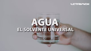 ¿Por qué el agua es el solvente universal [upl. by Mima]