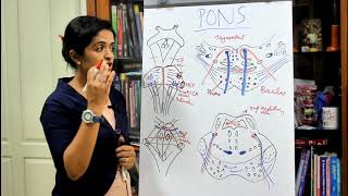 NEUROANATOMYTHE BRAINSTEMPART 2 THE PONSDR ROSE JOSE MD [upl. by Llen]