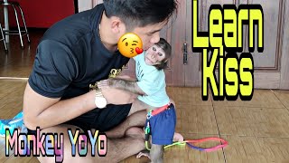 Monkey YoYo Jr learns to kiss dad Monkey Baby YoYo [upl. by Ralleigh657]