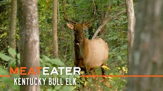 Boone amp Bugles Kentucky Bull Elk  S4E10  MeatEater [upl. by Faustena]