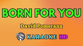 Born for You KARAOKE by David Pomeranz 4K HD samsonites [upl. by Lilak]