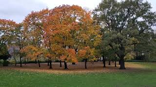 Stadtpark Schöneberg [upl. by Chen]