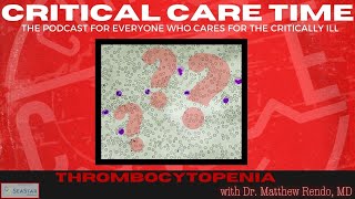 24 Thrombocytopenia with Dr Matthew Rendo MD [upl. by Hsital72]