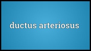 Ductus arteriosus Meaning [upl. by Ennaul304]