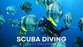 Scuba Diving at Kagi Maldives Resort amp Spa [upl. by Ahsauqal]