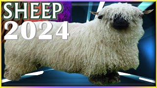 Sheep Horoscope 2024 ✩ Born 2015 2003 1991 1979 1967 1955 1943 1931 [upl. by Nyleda]