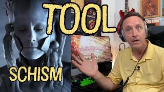 Psychotherapist Reacts To Tool  Schism [upl. by Medarda248]