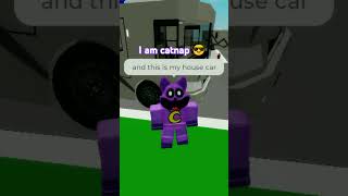 I am catnap in brookheaven games roblox mario music djsonic [upl. by Giusto]