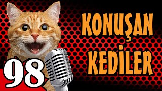 Konuşan Kediler 98 En Komik Kedi Videoları [upl. by Demp997]