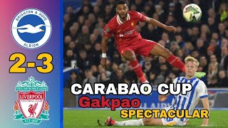 Brighton Vs Liverpool 23 Highlights CARABAO CUP 20242025 [upl. by Eltsryk179]