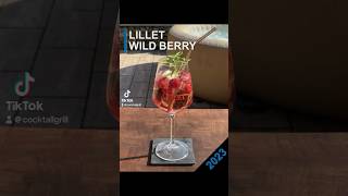 Lillet Wild Berry bei Cocktail amp Grill 🔥 Inspirationen  Rezepte  Mehr drink schweppes lillet [upl. by Daphie158]