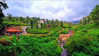 Indian countryside walk  Western Ghats tea plantations walk tour  Valparai  Tamilnadu  India [upl. by Garrek]