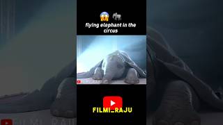 सर्कस में उड़ने वाला हाथी 😱🐘 shortsvideo entertainment movieexplainedinhindi [upl. by Assek]