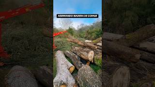 Aserrando vigas de coigue sawmill milling aserradero wood woodworking [upl. by Levan962]