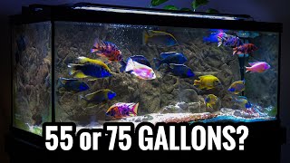 Which African Cichlids for a 55 and 75 Gallon Aquarium [upl. by Serene799]