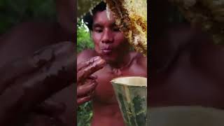 Wild Man eat fresh Honeycomb challenge asmr mukbang viralvideo shortvideo 😋 [upl. by Iba369]