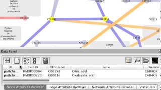 Exploring KEGG global metabolic pathway using Cytoscape [upl. by Maitland844]