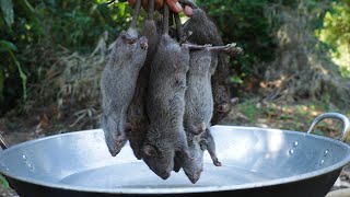 Fried Rat in simple recipe with mango sauce in my village ratcooking friedrat [upl. by Srednas147]