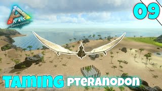 taming pteranodon  ARK survival evolved Mobile  episode 9  ark [upl. by Suki]