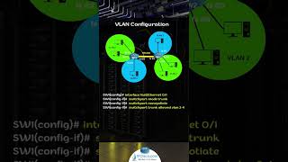 VLAN Configuration Tutorial in 60 Seconds 🌐✨  Quick amp Easy Guide [upl. by Cave918]