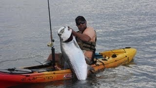 Kayaker Catches Huge Tarpon [upl. by Otit]