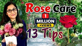 🔴🌹ROSE PLANT CARE GROWING TIPS SAVE ROSE PLANT  GULAB KI CARE  गुलाब की देखभाल rose roseplant [upl. by Nnahoj]