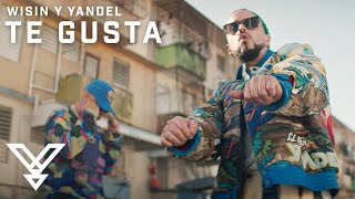 Yandel Wisin  Te Gusta Video Oficial  Resistencia [upl. by Hoseia347]