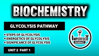 Glycolysis Pathway  Energetics And Significance Of Glycolysis  Carbohydrates Metabolism  Biochem [upl. by Naenej]