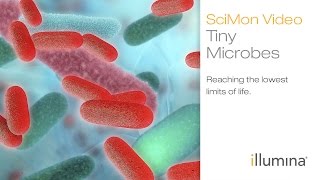 Tiny Microbes Reaching the Lowest Limits of Life  Illumina SciMon Video [upl. by Eidnarb613]