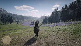 RED DEAD REDEMPTIONDIRECTOdespues de la muerte de Athur Morgan [upl. by Purcell700]