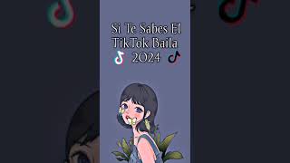 Si Te Sabes El TikTok Baila 2024 tiktok baile mashup sitesabeseltiktokbaila [upl. by Dorette]