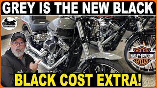 2024 HARLEY DAVIDSON Models  GREY is the NEW COLOR BLACK Cost Extra [upl. by Antipus821]