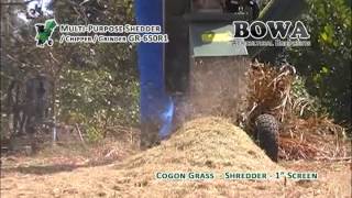 Shredding Cogon Grass [upl. by Christopher]